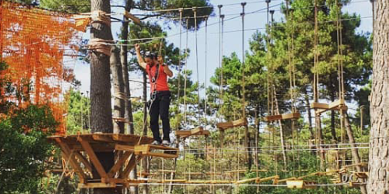 Aventura Park – Adrenalină și distracție în natură! Aventura Park – Adrenalină și distracție în natură!