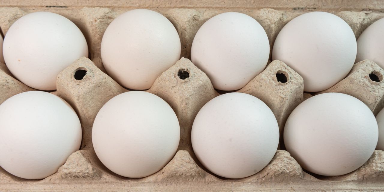 image 1738582488 zY0EYdPyvNnCJ5CRrcFyatwNQF2toksrhCzpPgFT.jpg image 1738582488 zY0EYdPyvNnCJ5CRrcFyatwNQF2toksrhCzpPgFT.jpg