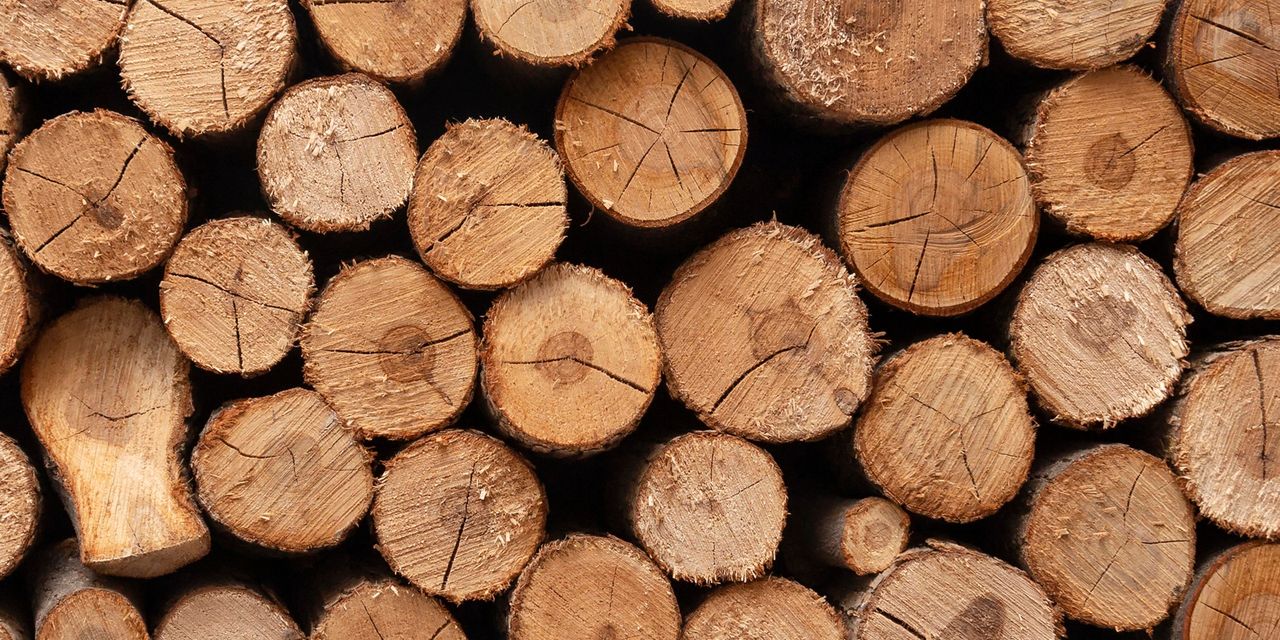 image 1742815868 p5Y6sFyD1OLOqr7I3JEE0N8iZJHlAEcaeXk4HoUd.jpg image 1742815868 p5Y6sFyD1OLOqr7I3JEE0N8iZJHlAEcaeXk4HoUd.jpg