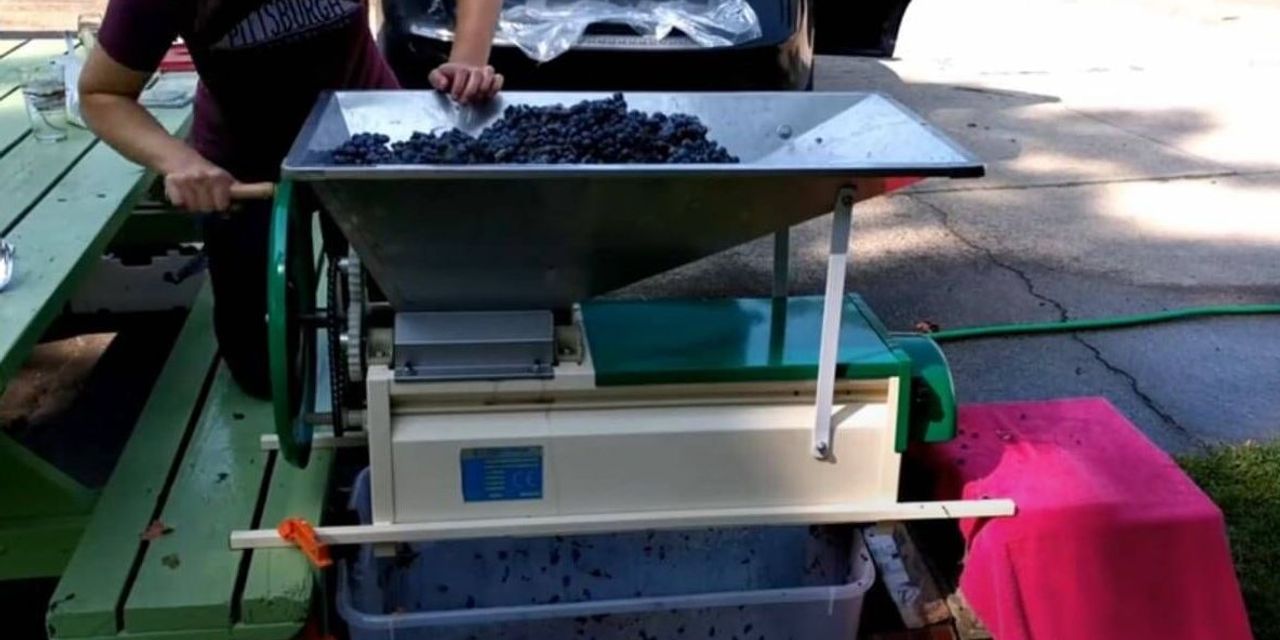 image 1756456305 Y49pLUGSVBZ6Z9bR10E9oxAVNdZqqJ5oPQlJe614.jpg image 1756456305 Y49pLUGSVBZ6Z9bR10E9oxAVNdZqqJ5oPQlJe614.jpg