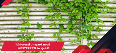 Tipuri de gard: ghid complet pentru alegerea gardului potrivit pentru casa ta