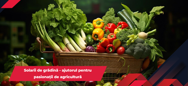 Solarii de grădină - ajutorul pentru pasionații de agricultură