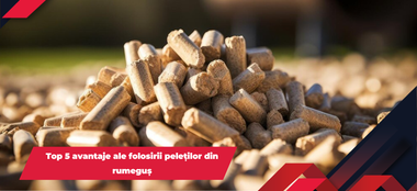 Top 5 avantaje ale folosirii peleților din rumeguș