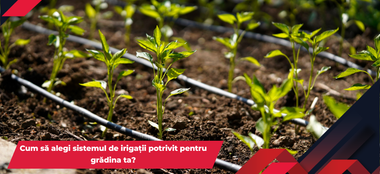 Cum să alegi sistemul de irigații potrivit pentru grădina ta?