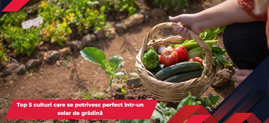 Top 5 culturi care se potrivesc perfect într-un solar de grădină