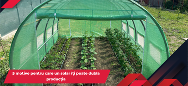 5 motive pentru care un solar &icirc;ți poate dubla producția