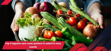Top 5 legume care cresc perfect &icirc;n solarii &icirc;n luna martie