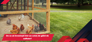 De ce să investești într-un coteț de găini de calitate?