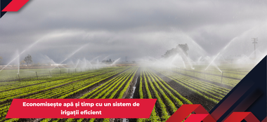 Economisește apă și timp cu un sistem de irigații eficient