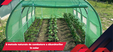 5 metode naturale de combatere a dăunătorilor &icirc;n solar