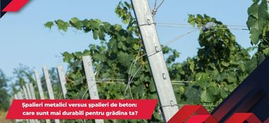 Șpalieri metalici versus șpalieri de beton: care sunt mai durabili pentru grădina ta?