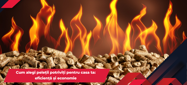 Cum alegi peleții potriviți pentru casa ta: eficiență și economie