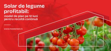 Solar de legume profitabil: model de plan pe 12 luni pentru recoltă continuă