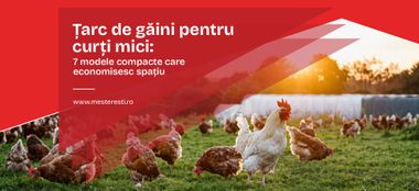 Țarc de găini pentru curți mici: 7 modele compacte care economisesc spațiu