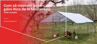 Cum să montezi un țarc de găini Rico de la Meșterești: Ghid complet
