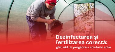 Dezinfectarea și fertilizarea corectă: ghid util de pregătire a solului &icirc;n solar