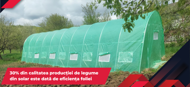 30% din calitatea producției de legume din solar este dată de eficiența foliei