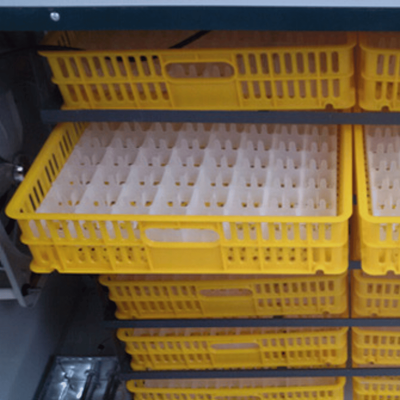 Incubator 2112 ouă industrial automat Avicol Pro