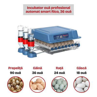 Incubator 36 ouă profesional automat smart Rico Incubator 36 ouă profesional automat smart Rico