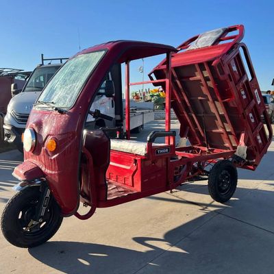 Triciclu electric Thor BUGGY 1000W, baterie 48V/32Ah, cu benă, fără permis