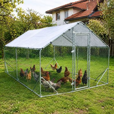 Țarc găini Rico 3x4,5 m din oțel și plasă rabitz, 55,5 kg, 12-13 găini