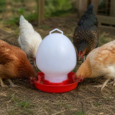 Adăpătoare găini Rico, 10 litri