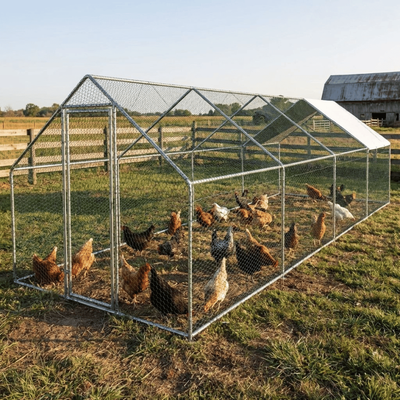 Țarc găini Barn din oțel galvanizat, 3x8x2 m