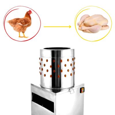 Deplumator de păsări Rico, inox, putere 1500 W, diametru cuvă 50 cm, motor aluminiu