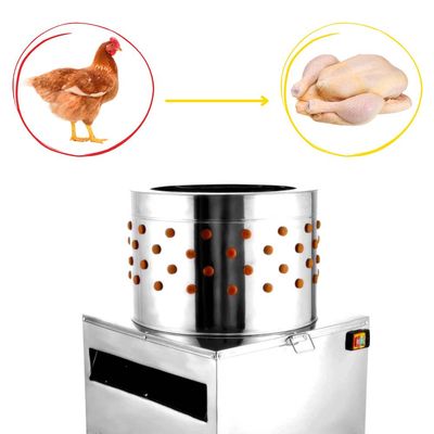 Deplumator de păsări Rico, inox, putere 2200 W, diametru cuvă 60 cm, motor aluminiu
