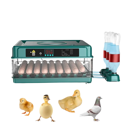 Incubator ouă automat profesional, 70 ouă, verde