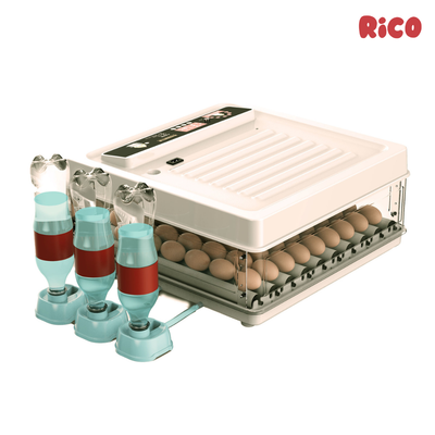 Incubator ouă automat smart Rico, 70 ouă Incubator ouă automat smart Rico, 70 ouă