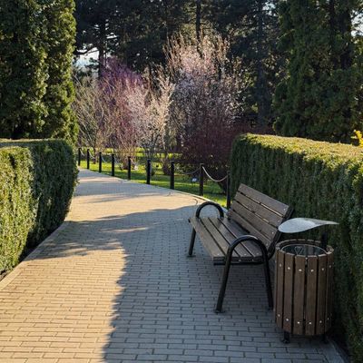 Pachet promoțional din lemn de brad format din Bancă stradală parc Jimara + Coș gunoi stradal Rabil