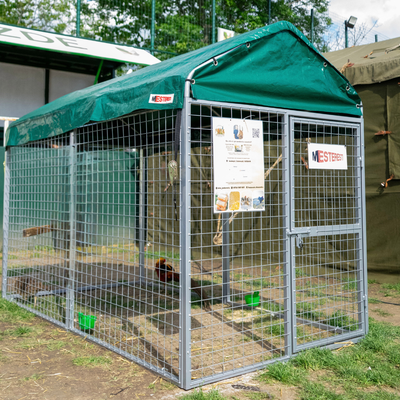 Padoc câini Grivei 2,4x1,2 m, oțel galvanizat, acoperit complet