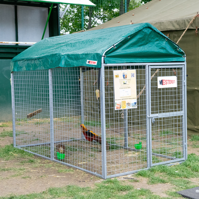Padoc câini Grivei 2,4x1,2 m, oțel galvanizat, acoperit complet