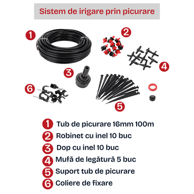 Seră policarbonat 6 mm pentru grădină Travena 4x6 m + Cadou Sistem de Irigații