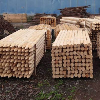 Stâlpi din lemn netratat, grosime 16 cm 2.75 m