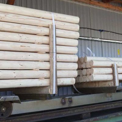 Stâlpi din lemn netratat, grosime 13 cm 3.25 m