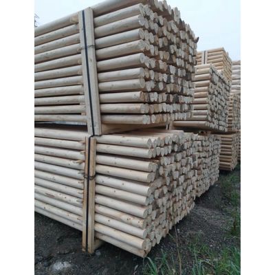 Stâlpi lemn gard netratați, grosime 10 cm 1 m