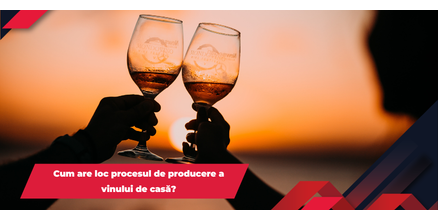 Cum are loc procesul de producere a vinului de casă?