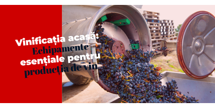 Vinificația acasă: Echipamente esențiale pentru producția de vin