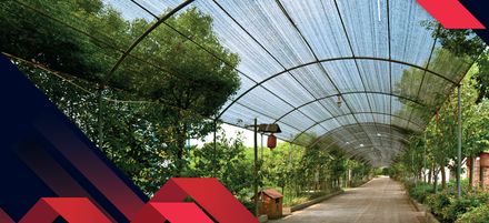 La ce folosește plasa de umbrire? La ce folosește plasa de umbrire?