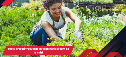 Top 5 greșeli frecvente în grădinărit și cum să le eviți Top 5 greșeli frecvente în grădinărit și cum să le eviți
