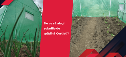 De ce să alegi solariile de grădină Cortis©? De ce să alegi solariile de grădină Cortis©?