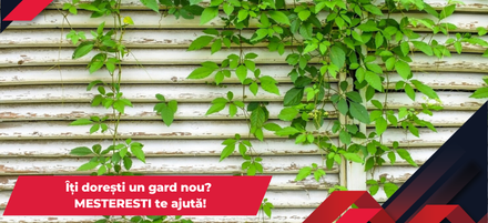 Tipuri de gard: ghid complet pentru alegerea gardului potrivit pentru casa ta Tipuri de gard: ghid complet pentru alegerea gardului potrivit pentru casa ta
