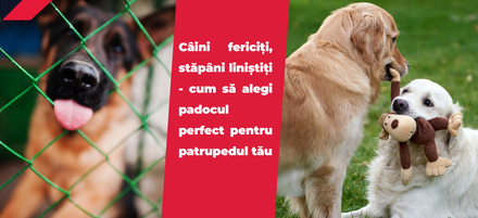 Câini fericiți, stăpâni liniștiți - cum să alegi padocul perfect pentru patrupedul tău