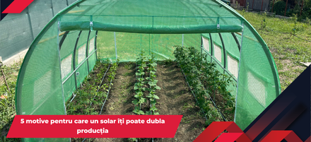 5 motive pentru care un solar îți poate dubla producția