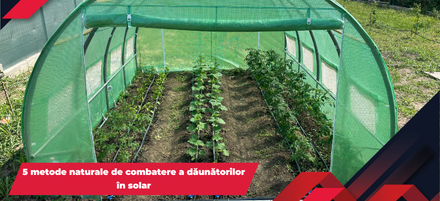 5 metode naturale de combatere a dăunătorilor în solar