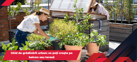 Ghid de grădinărit urban: ce poți crește pe balcon sau terasă Ghid de grădinărit urban: ce poți crește pe balcon sau terasă