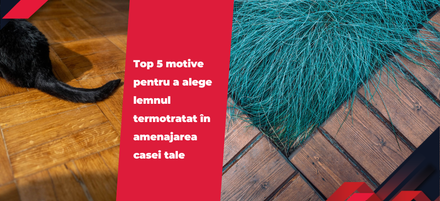 Top 5 motive pentru a alege lemnul termotratat în amenajarea casei tale Top 5 motive pentru a alege lemnul termotratat în amenajarea casei tale