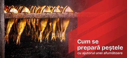 Cum se prepară peștele cu ajutorul unei afumătoare Cum se prepară peștele cu ajutorul unei afumătoare